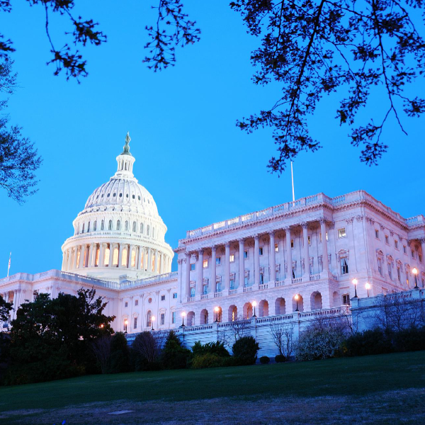 U.S. Capitol Building in Washington D.C.