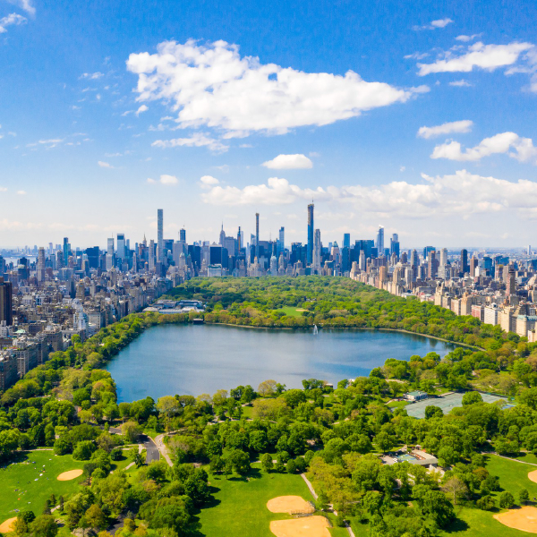 View of Central Park with New York City Skyline