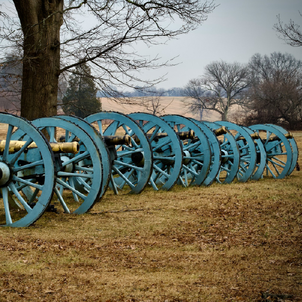 Row of blue cannons on a grassy field